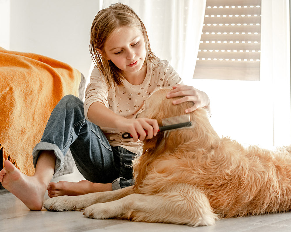 The Essential Guide to Pet Supplies: Everything You Need for a Happy and Healthy Pet