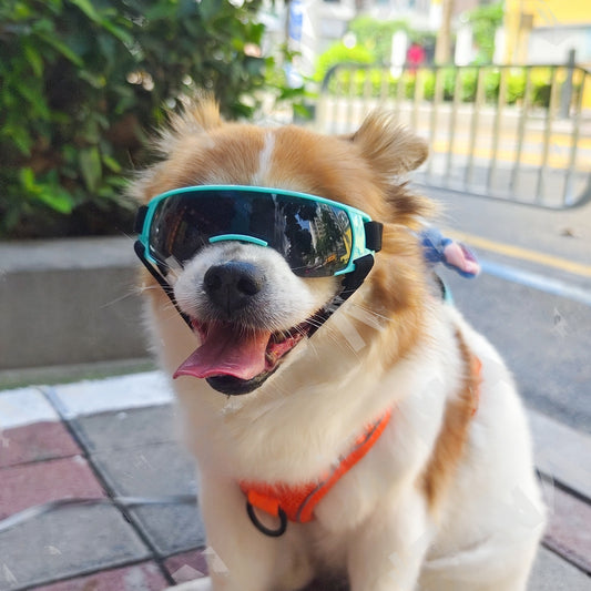 Dog Sunglasses Small Breed, Dog Goggles for Small Dogs Windproof Anti-UV Glasses for Dogs Outdoor Eye Protection